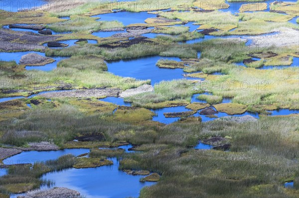 Rano Kau Volcanic Crater and Wetland