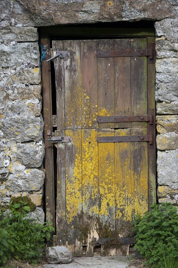 Old wooden barn door