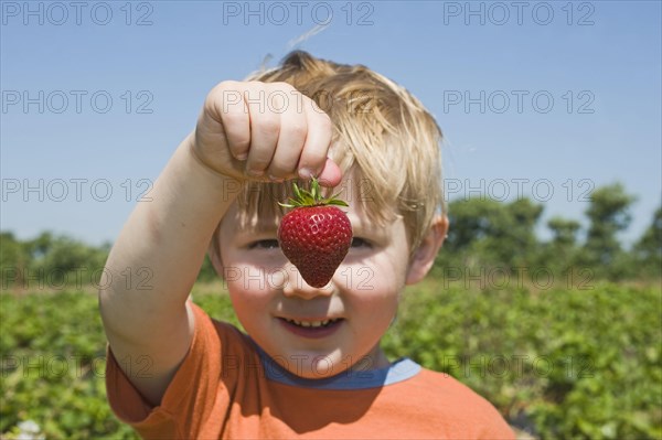 Strawberry