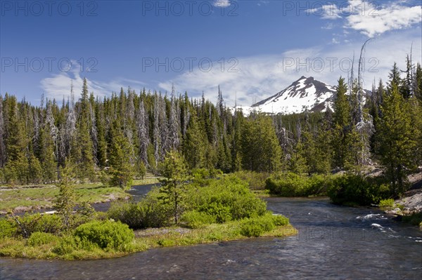 View of river entering lake