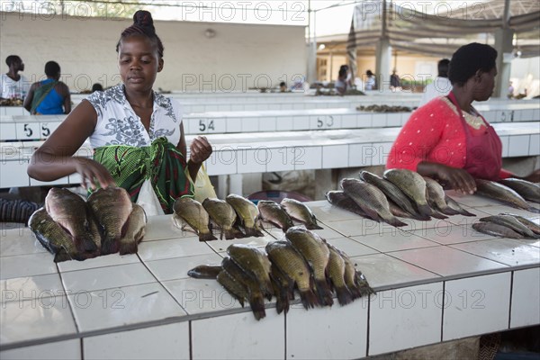 Fish market