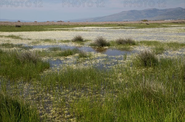 View of saltmarsh