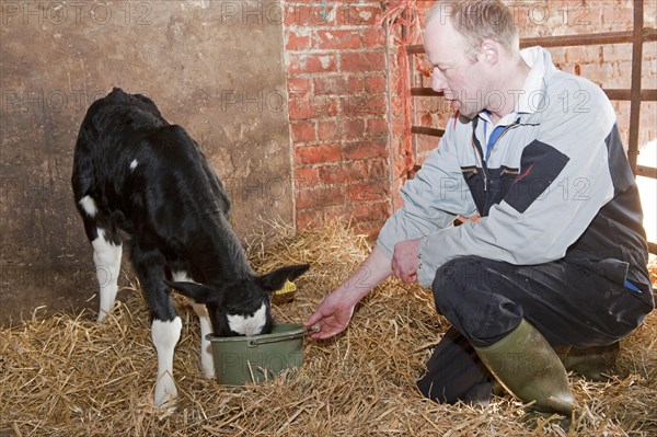 Dairy farming