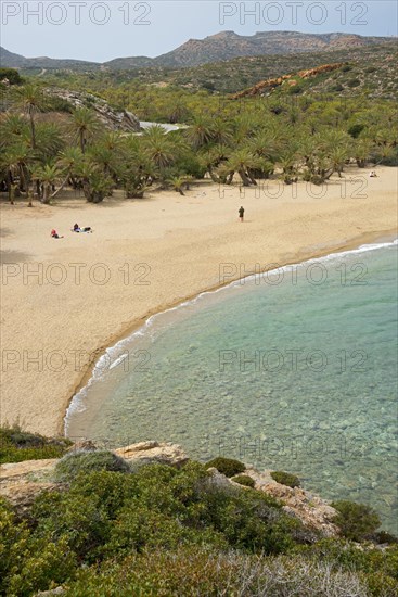 Palm beach of Vai with Cretan