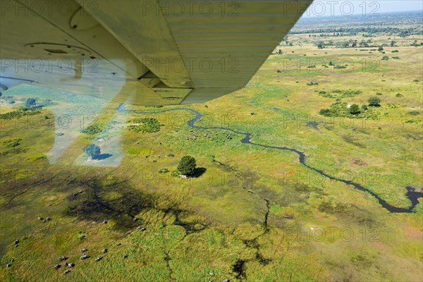 Okavango Delta