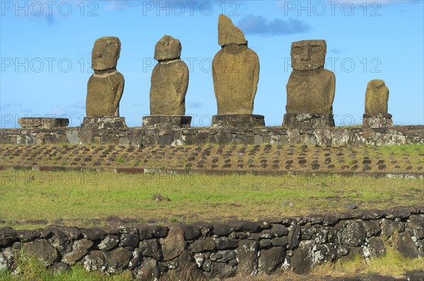 Moais in the Tahai Ceremonial Complex