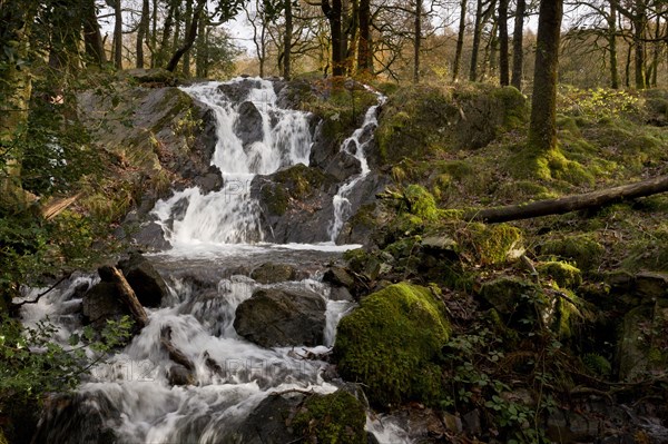 Cascades flowing over rocks in river