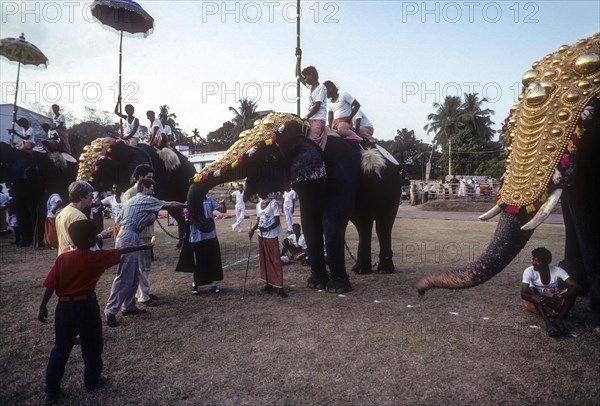 Tourists experiencing the thrill of feeding the elephants in Great elephant march festival in Thiruvananthapuram or Trivandrum