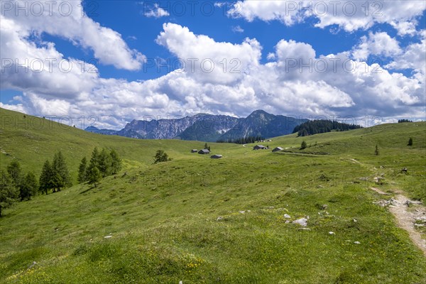 Postalm in the Salzkammergut