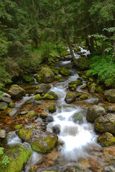 Mountain stream