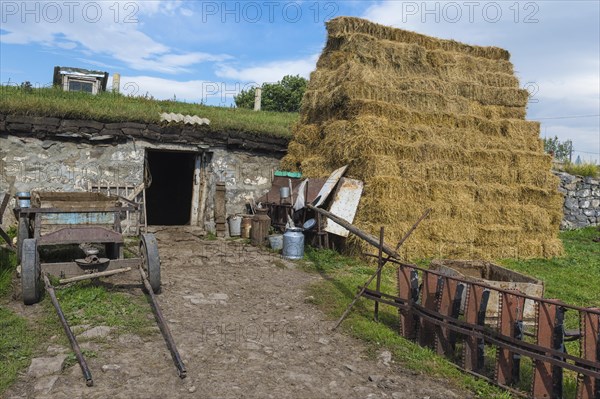 Old agricultural tools