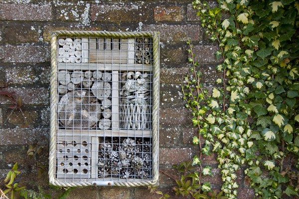 Invertebrate refuge attached to brick wall