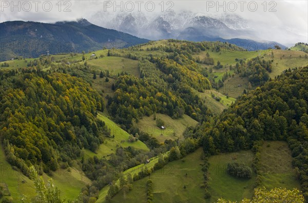 View of mixed forest and pastures on mountain slopes