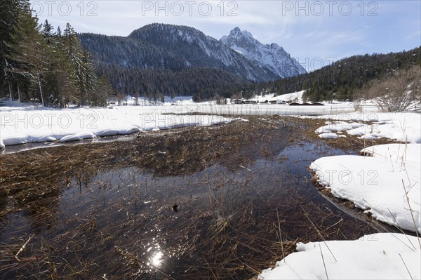 Winter landscape