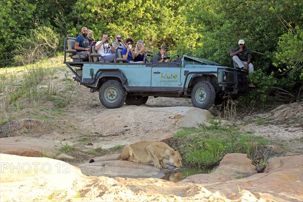 Safari vehicle