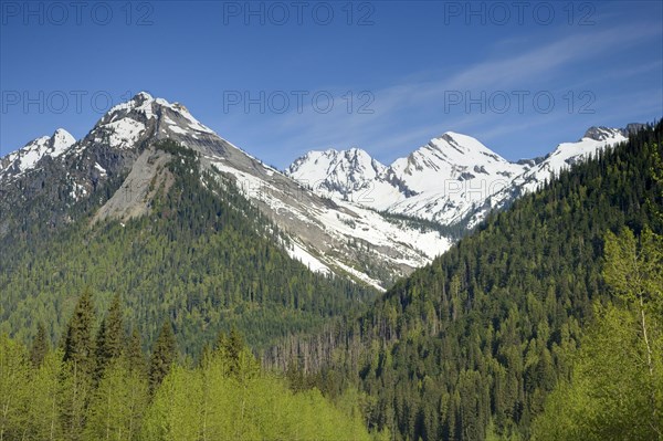 View of forest on slopes of snow-capped mountains