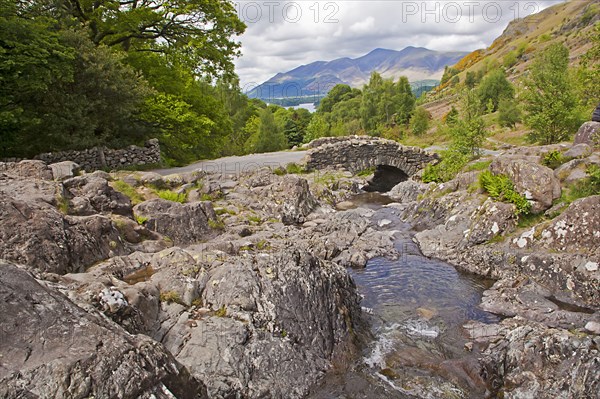 Rocky stream and stone bridge