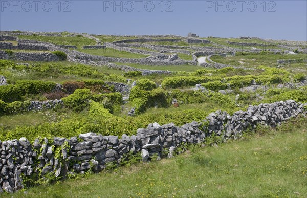 Small fields with limestone dry stone walls