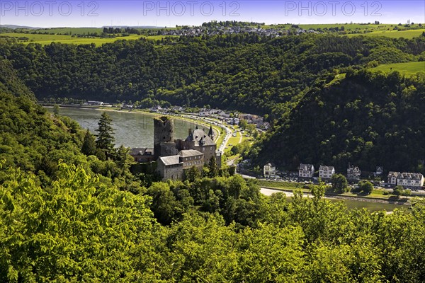 View of the Rhine Valley with Katz Castle