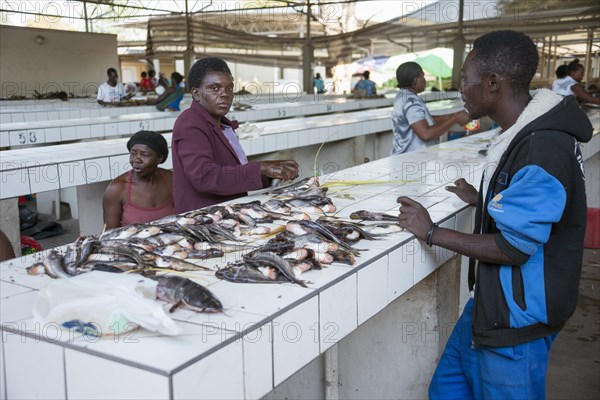 Fish market