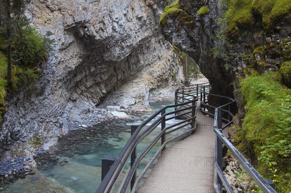 Hiking trail along the Bow River in Johnston Canyon