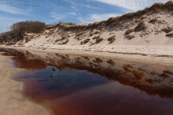 West beach on the Darss