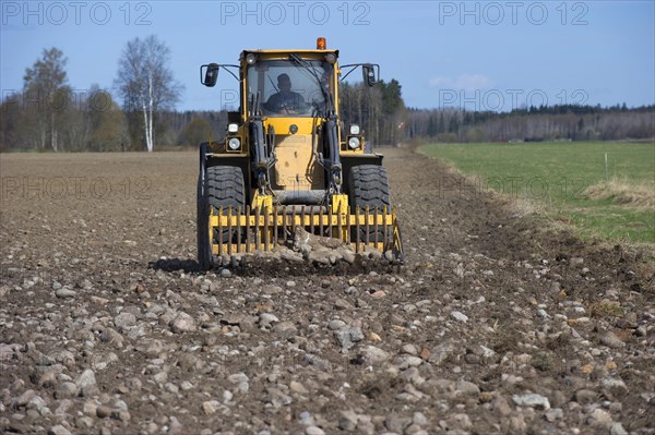 Tractor with front loader forks removing stones from cultivated farmland