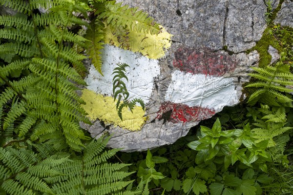 Coloured markings for hiking trails on a stone on the Postalm in the Salzkammergut