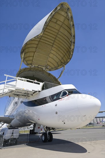 Airbus Beluga XL Transporter