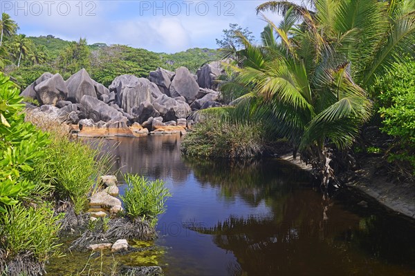 Brackish water lagoon at the dream beach Grand Anse