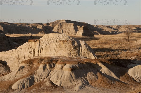 View of badlands habitat