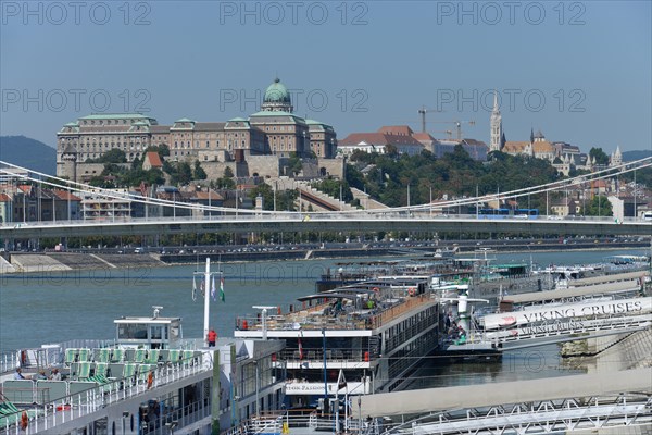 Elisabeth Bridge