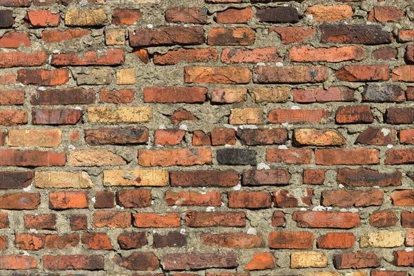 Wall