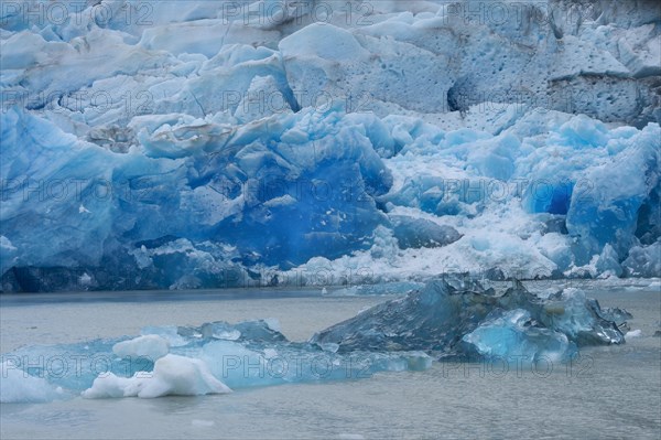 Grey Glacier flowing into the lake