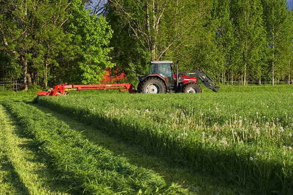 Massey Ferguson tractor with Kverneland mower