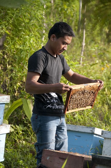 Beekeeping