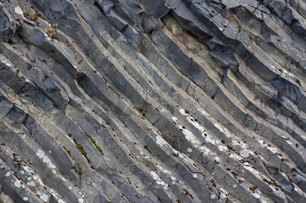 Hexagonal basalt columns