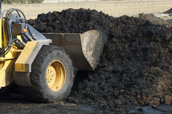 Volvo L50 D wheel loader