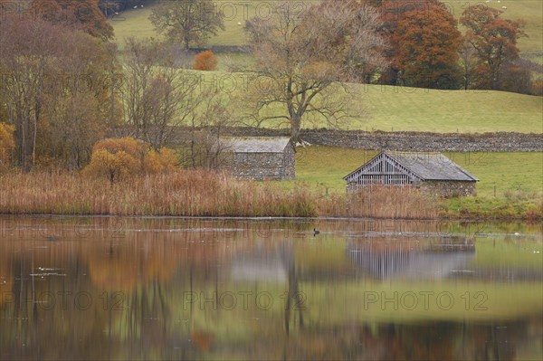View of boathouse beside lake in autumn