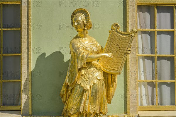 Harpist