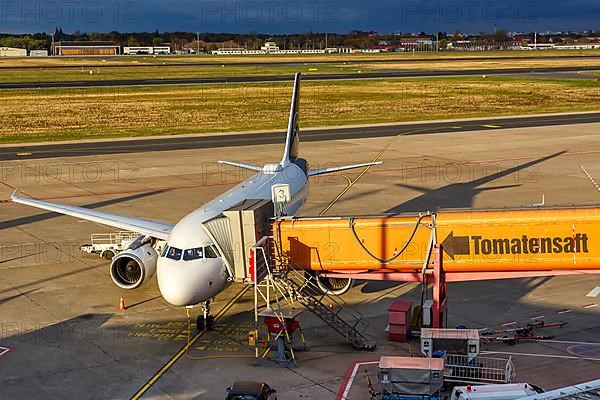 Airbus A319 aircraft of Lufthansa with registration D-AILU at Tegel Airport in Berlin