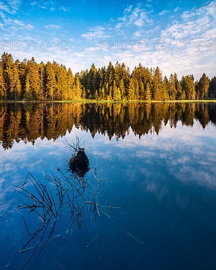 The Fichtelsee in the morning light