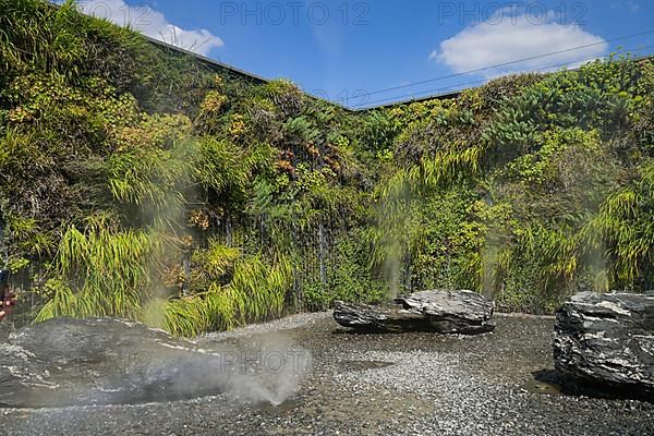 Water Gardens