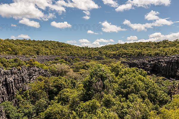 Tsingy de Ankarana National Park