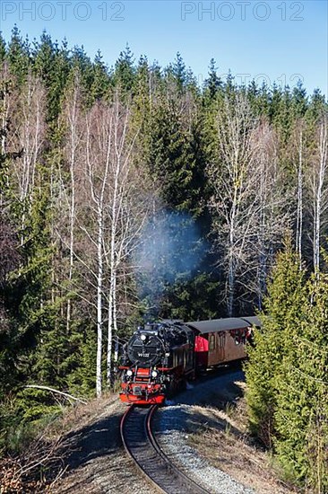 Steam train of the Brockenbahn railway steam railway near Drei Annen Hohne