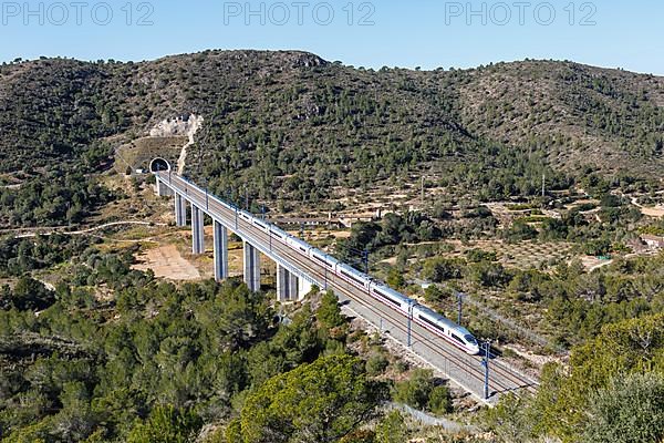 AVE Siemens Velaro high-speed train of RENFE on the line Madrid