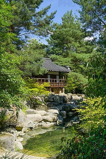 Korean Garden