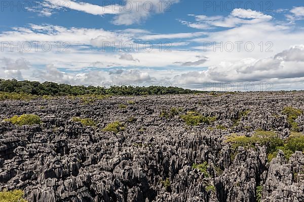 Tsingy de Ankarana National Park