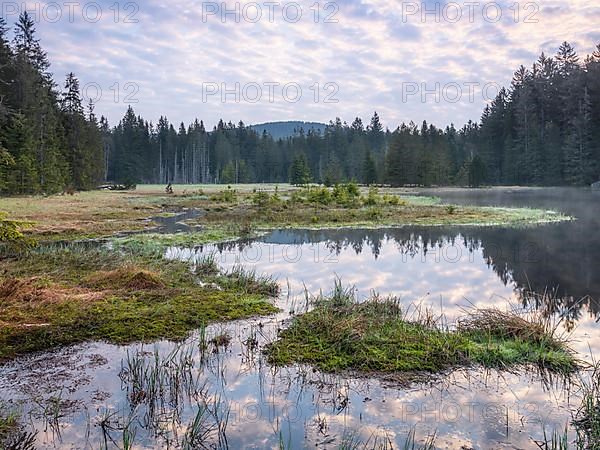 The Fichtel lake marsh at Fichtelsee in the morning