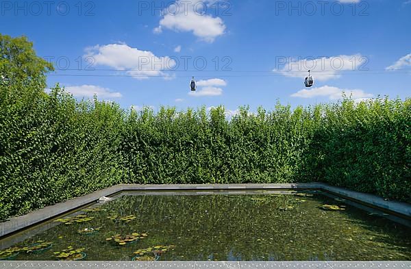 Water Garden Pond